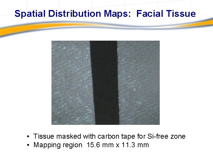 Spatial Distribution Maps: Facial Tissue • Tissue masked with carbon tape for Si-free zone