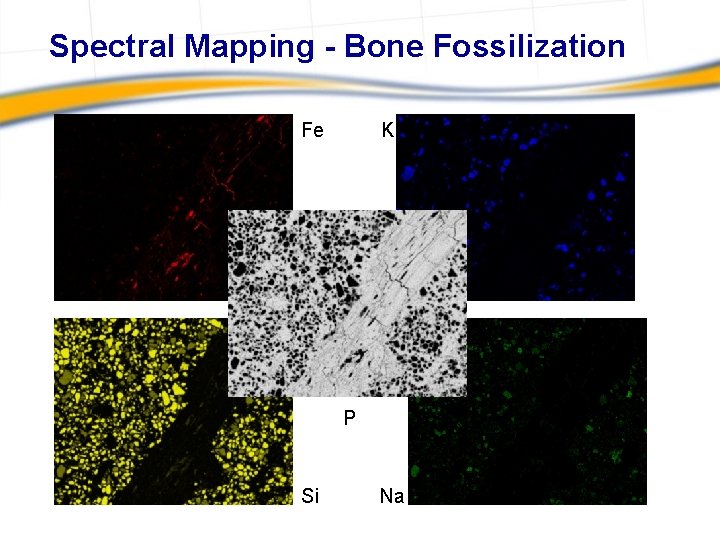 Spectral Mapping - Bone Fossilization Fe K P Si Na 