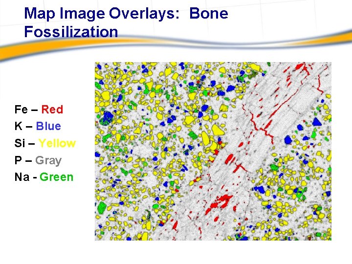 Map Image Overlays: Bone Fossilization Fe – Red K – Blue Si – Yellow