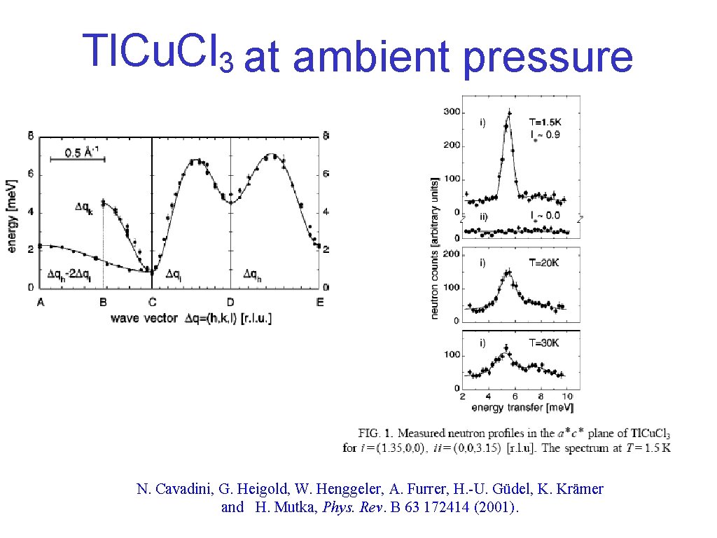 Tl. Cu. Cl 3 at ambient pressure N. Cavadini, G. Heigold, W. Henggeler, A.