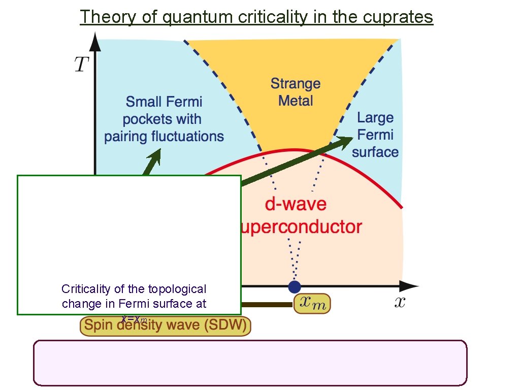 Theory of quantum criticality in the cuprates Criticality of the topological change in Fermi