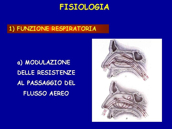 FISIOLOGIA 1) FUNZIONE RESPIRATORIA a) MODULAZIONE DELLE RESISTENZE AL PASSAGGIO DEL FLUSSO AEREO 