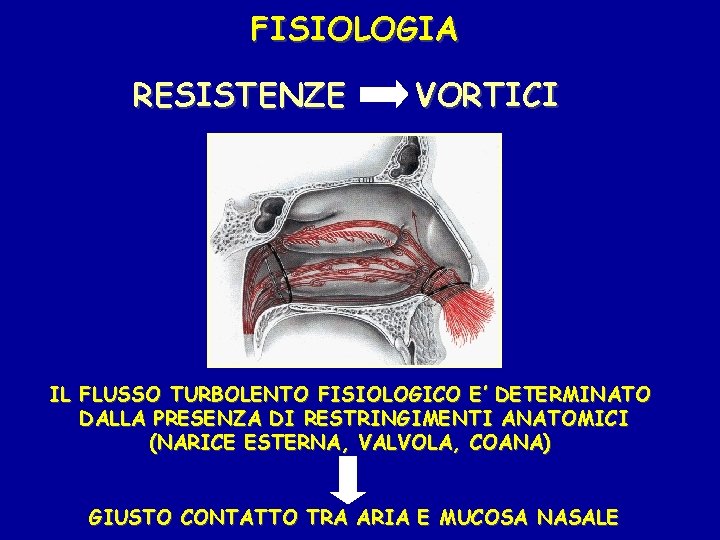 FISIOLOGIA RESISTENZE VORTICI IL FLUSSO TURBOLENTO FISIOLOGICO E’ DETERMINATO DALLA PRESENZA DI RESTRINGIMENTI ANATOMICI