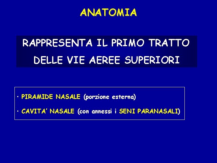 ANATOMIA RAPPRESENTA IL PRIMO TRATTO DELLE VIE AEREE SUPERIORI • PIRAMIDE NASALE (porzione esterna)