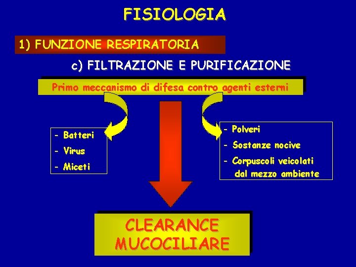 FISIOLOGIA 1) FUNZIONE RESPIRATORIA c) FILTRAZIONE E PURIFICAZIONE Primo meccanismo di difesa contro agenti