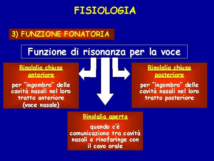 FISIOLOGIA 3) FUNZIONE FONATORIA Funzione di risonanza per la voce Rinolalia chiusa anteriore Rinolalia