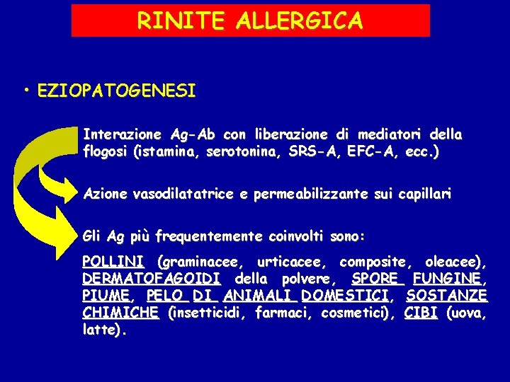 RINITE ALLERGICA • EZIOPATOGENESI Interazione Ag-Ab con liberazione di mediatori della flogosi (istamina, serotonina,