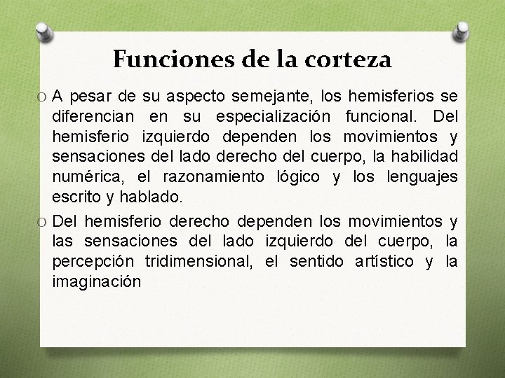 Funciones de la corteza O A pesar de su aspecto semejante, los hemisferios se