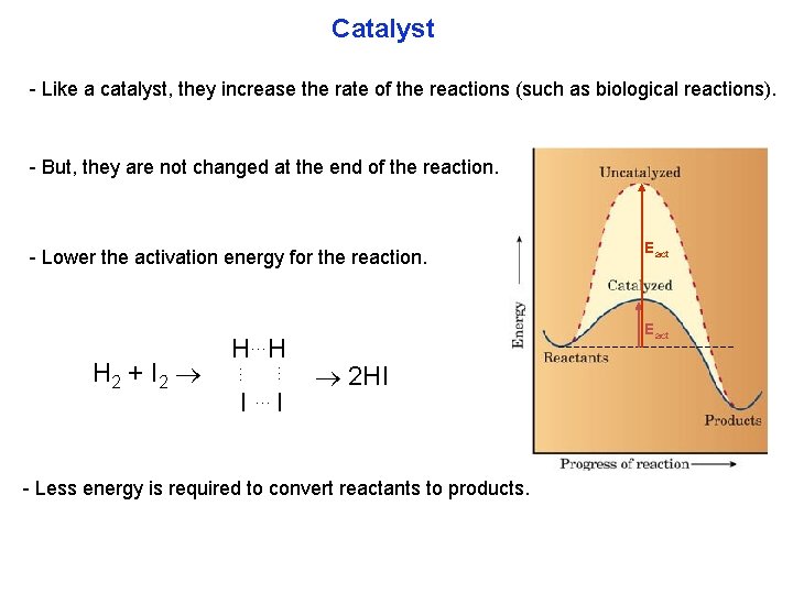 Catalyst Like a catalyst, they increase the rate of the reactions (such as biological