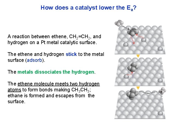 How does a catalyst lower the Ea? A reaction between ethene, CH 2=CH 2,