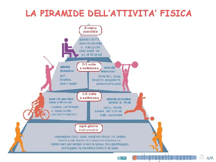 LA PIRAMIDE DELL’ATTIVITA’ FISICA 