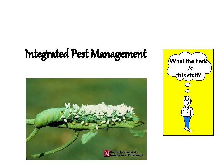 Integrated Pest Management 