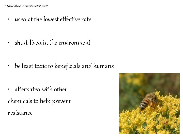 (A Note About Chemical Control, cont) • used at the lowest effective rate •