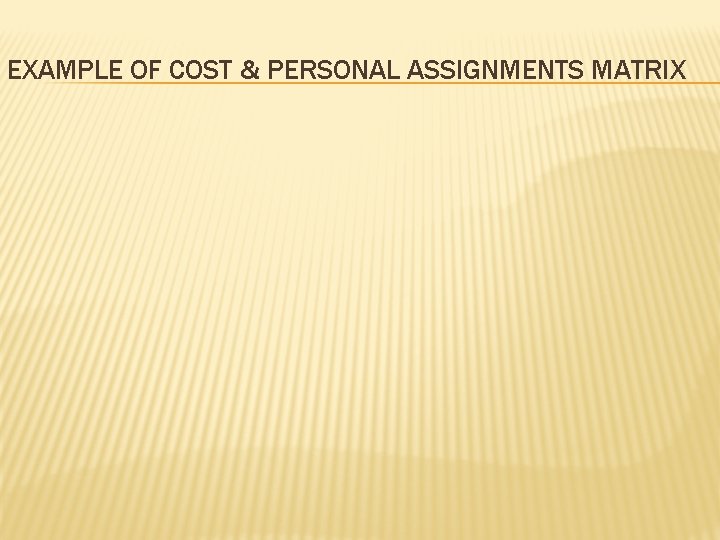 EXAMPLE OF COST & PERSONAL ASSIGNMENTS MATRIX 