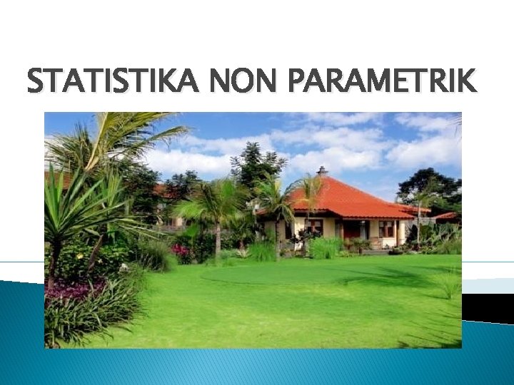 STATISTIKA NON PARAMETRIK 