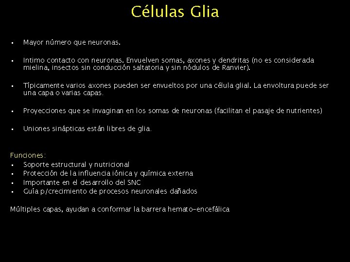 Células Glia • Mayor número que neuronas. • Intimo contacto con neuronas. Envuelven somas,