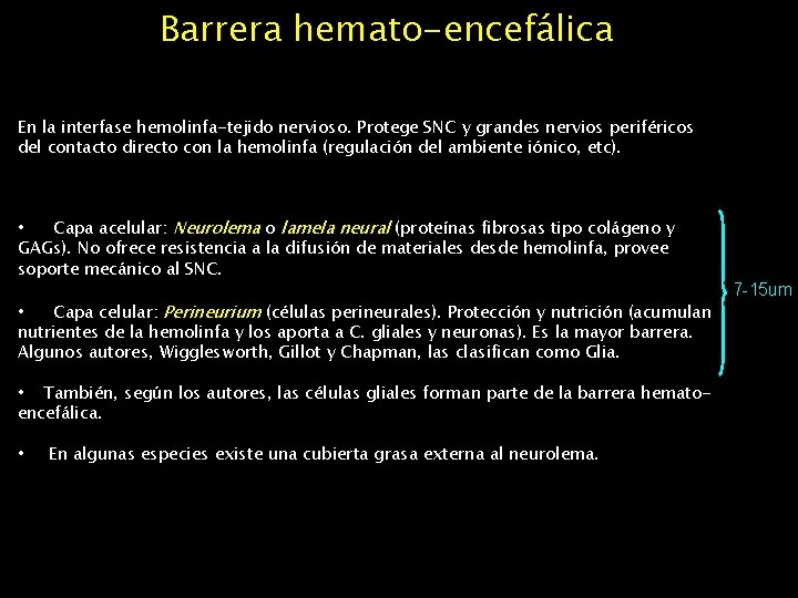 Barrera hemato-encefálica En la interfase hemolinfa-tejido nervioso. Protege SNC y grandes nervios periféricos del