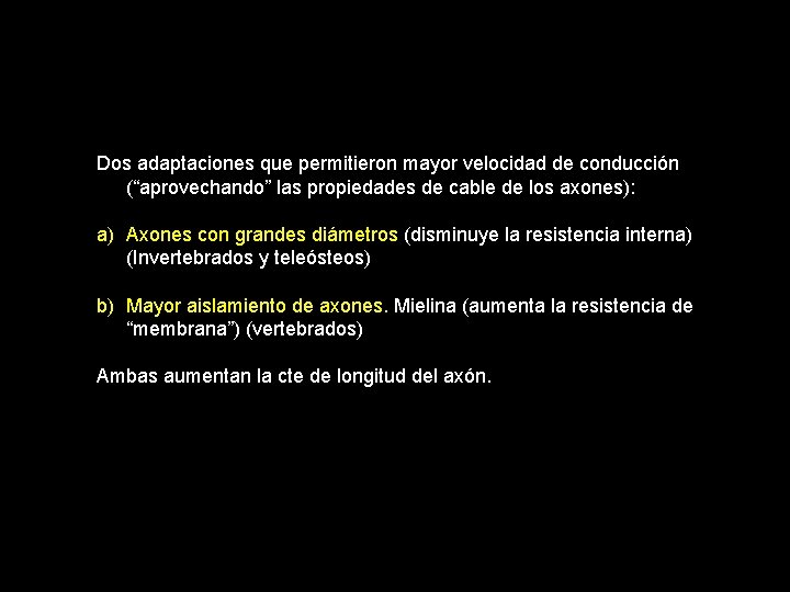 Dos adaptaciones que permitieron mayor velocidad de conducción (“aprovechando” las propiedades de cable de