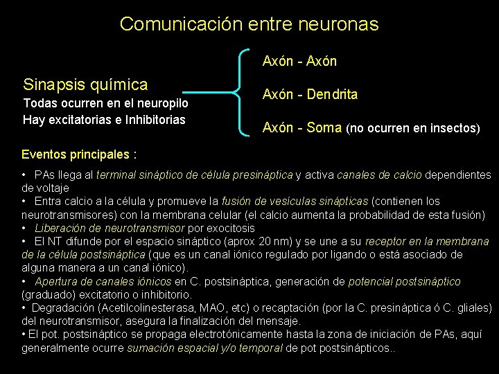 Comunicación entre neuronas Axón - Axón Sinapsis química Todas ocurren en el neuropilo Hay