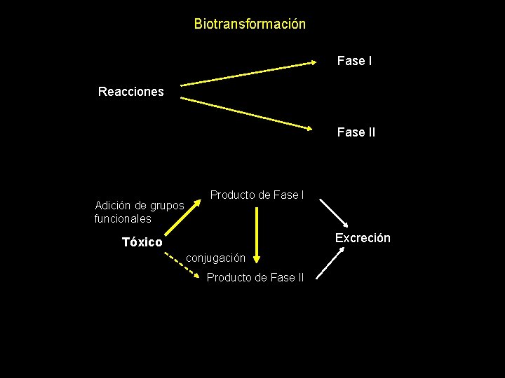 Biotransformación Fase I Reacciones Fase II Adición de grupos funcionales Producto de Fase I