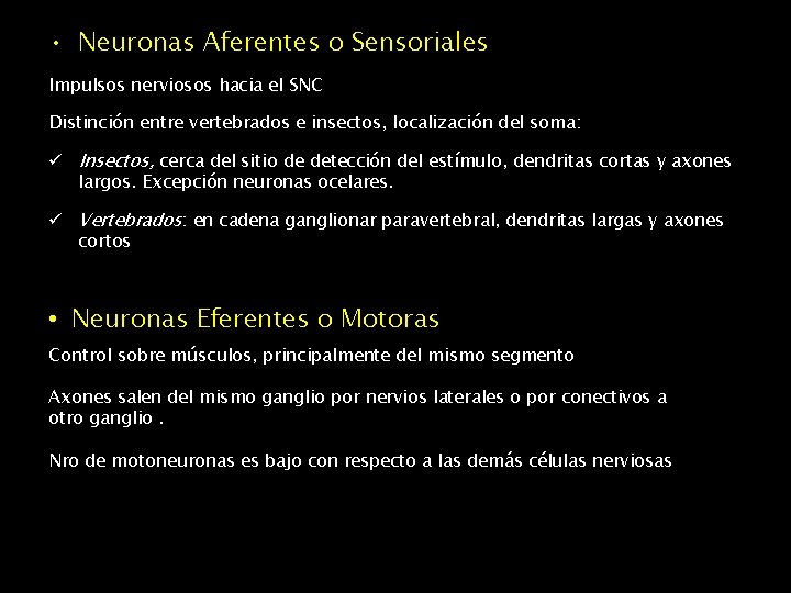  • Neuronas Aferentes o Sensoriales Impulsos nerviosos hacia el SNC Distinción entre vertebrados