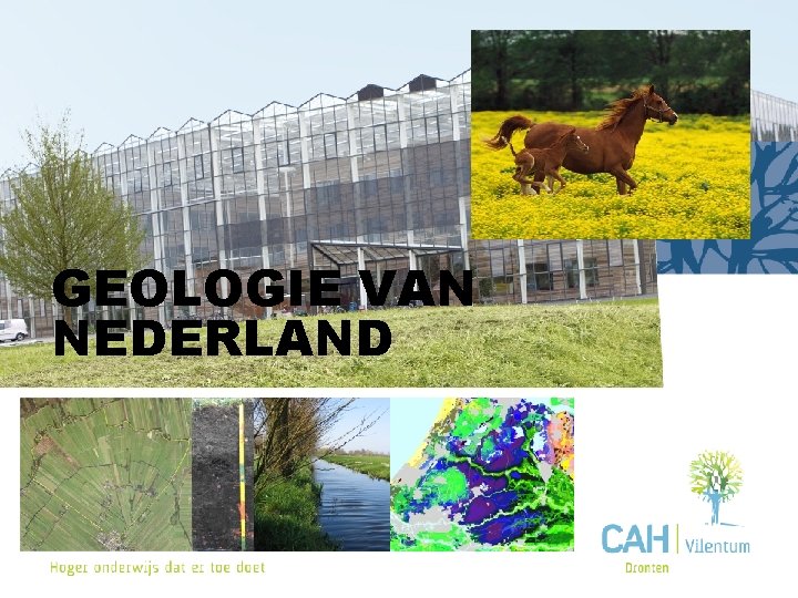GEOLOGIE VAN NEDERLAND 