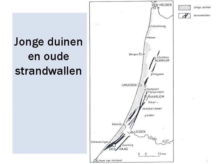 Jonge duinen en oude strandwallen 