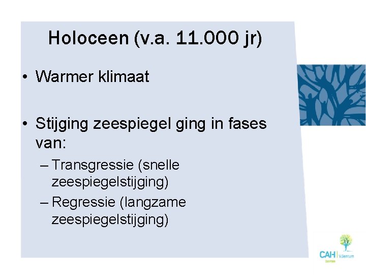 Holoceen (v. a. 11. 000 jr) • Warmer klimaat • Stijging zeespiegel ging in