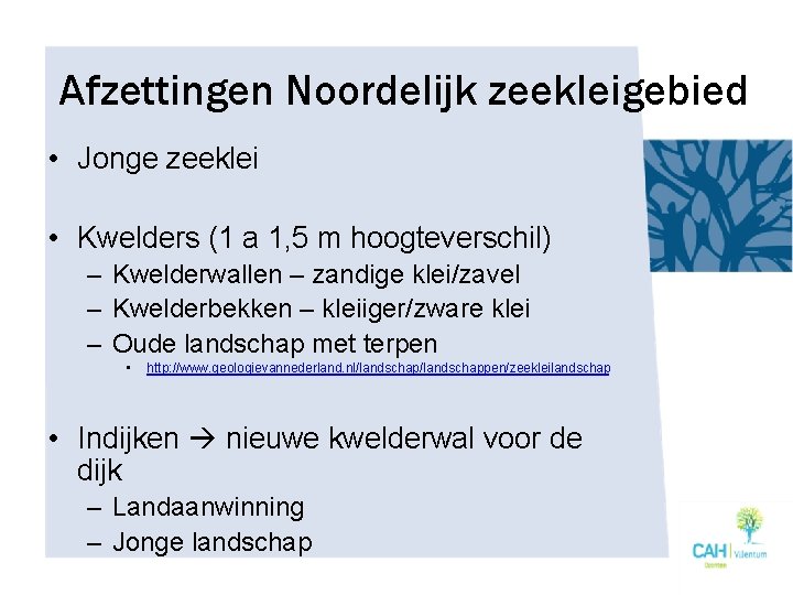 Afzettingen Noordelijk zeekleigebied • Jonge zeeklei • Kwelders (1 a 1, 5 m hoogteverschil)