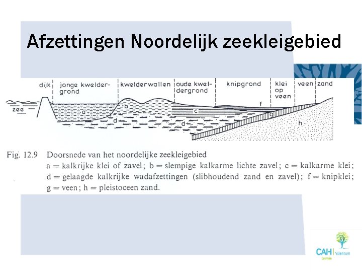 Afzettingen Noordelijk zeekleigebied 