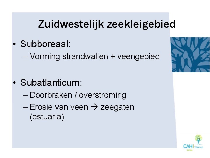 Zuidwestelijk zeekleigebied • Subboreaal: – Vorming strandwallen + veengebied • Subatlanticum: – Doorbraken /