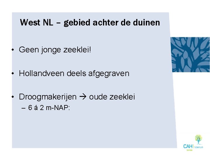 West NL – gebied achter de duinen • Geen jonge zeeklei! • Hollandveen deels