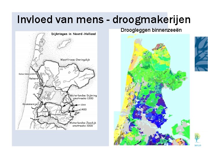 Invloed van mens - droogmakerijen Droogleggen binnenzeeën 