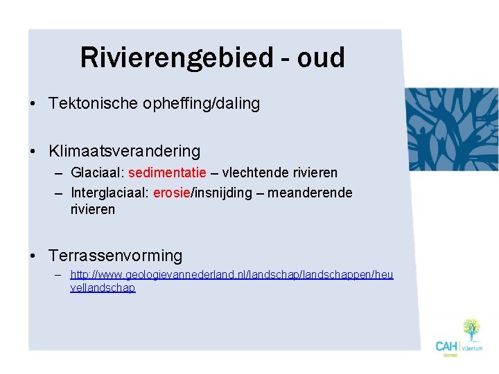 Rivierengebied - oud • Tektonische opheffing/daling • Klimaatsverandering – Glaciaal: sedimentatie – vlechtende rivieren