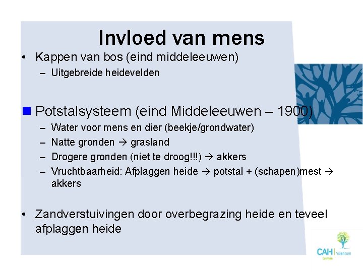 Invloed van mens • Kappen van bos (eind middeleeuwen) – Uitgebreide heidevelden n Potstalsysteem