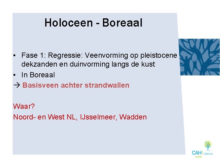 Holoceen - Boreaal • Fase 1: Regressie: Veenvorming op pleistocene dekzanden en duinvorming langs