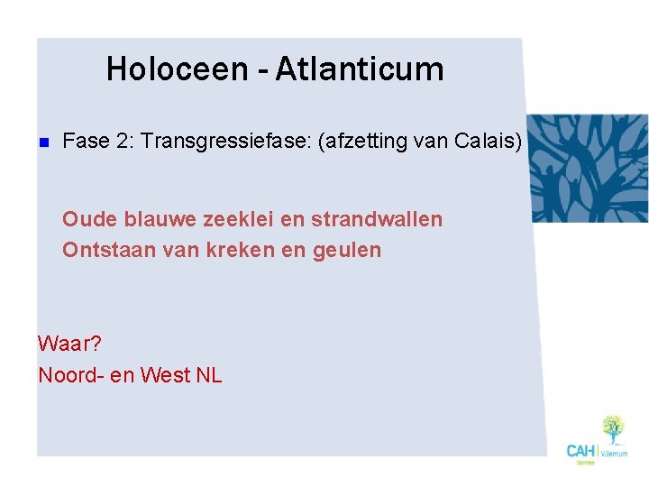 Holoceen - Atlanticum n Fase 2: Transgressiefase: (afzetting van Calais) Oude blauwe zeeklei en