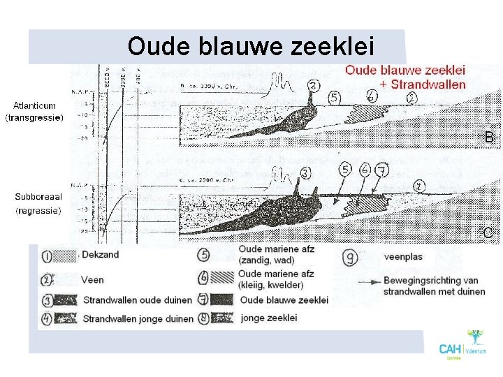 Oude blauwe zeeklei 