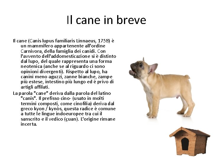 Il cane in breve Il cane (Canis lupus familiaris Linnaeus, 1758) è un mammifero