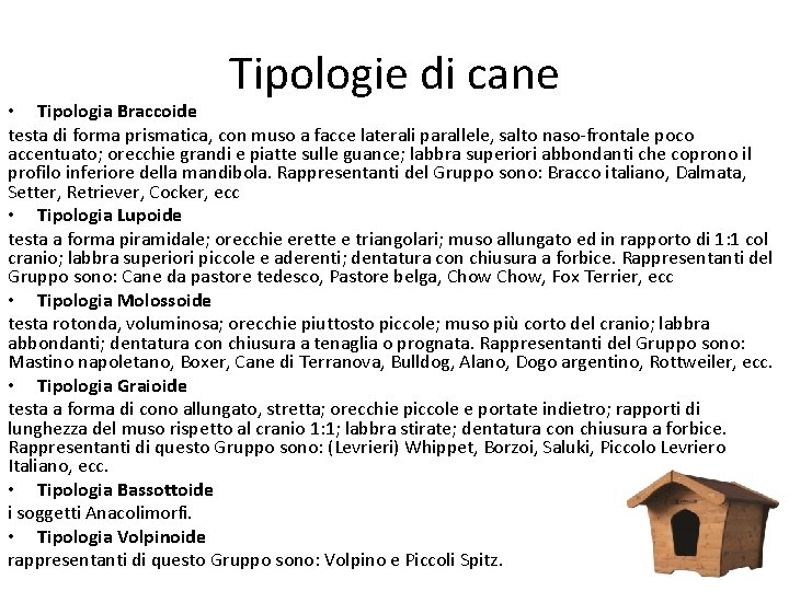 Tipologie di cane • Tipologia Braccoide testa di forma prismatica, con muso a facce