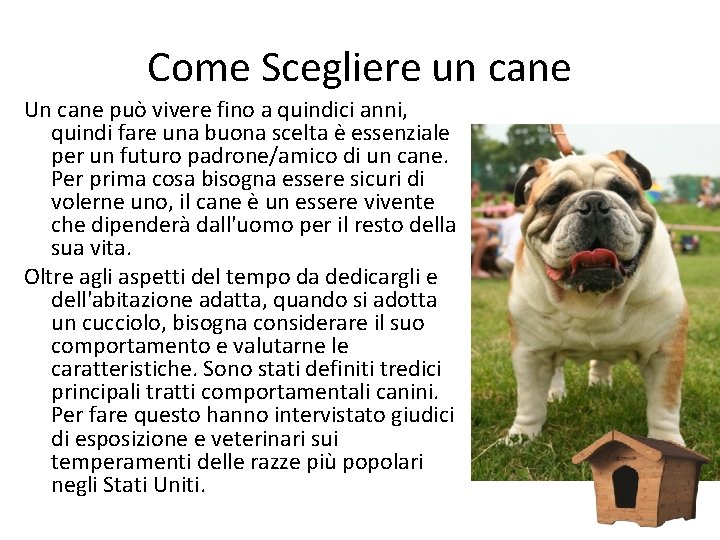 Come Scegliere un cane Un cane può vivere fino a quindici anni, quindi fare