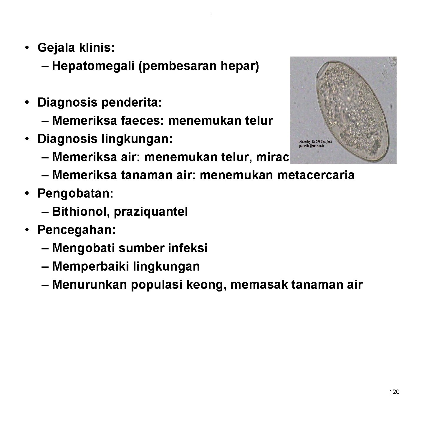 i • Gejala klinis: – Hepatomegali (pembesaran hepar) • Diagnosis penderita: – Memeriksa faeces: