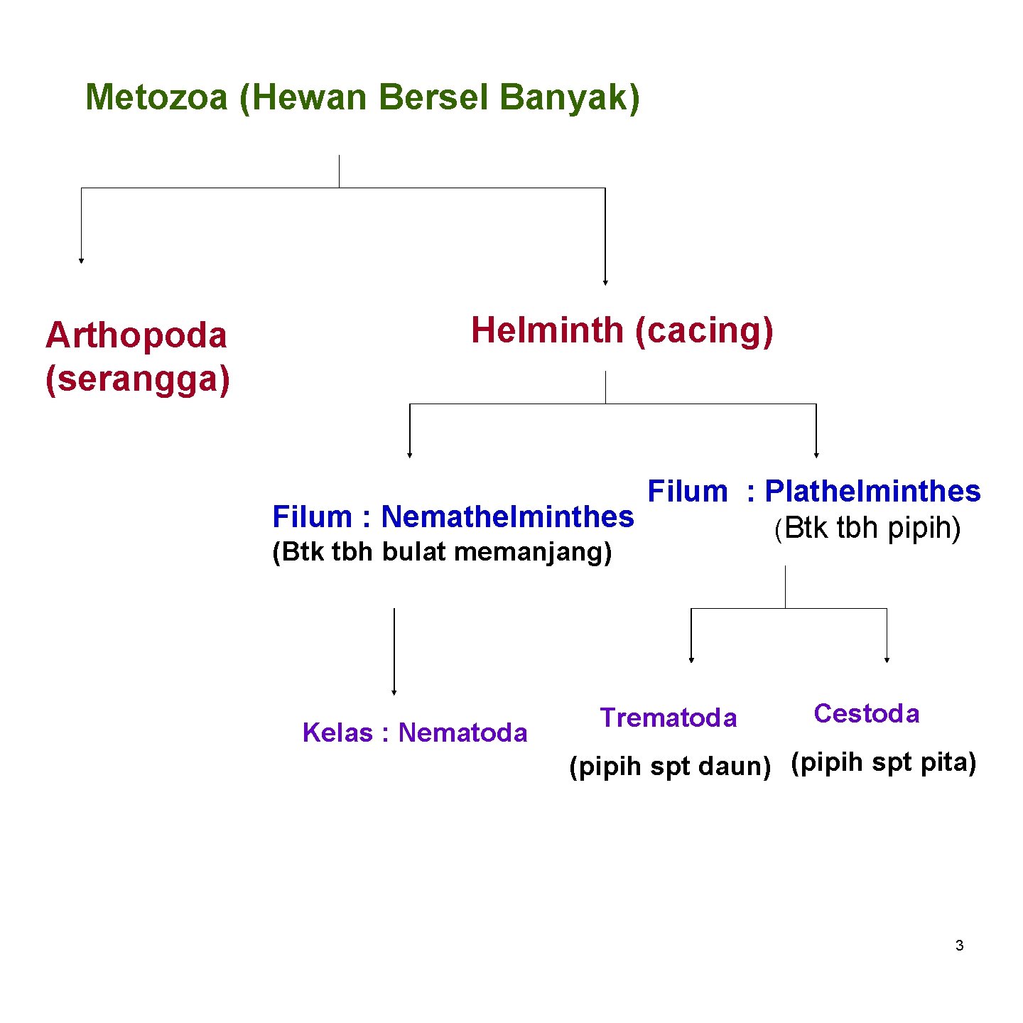 Metozoa (Hewan Bersel Banyak) Arthopoda (serangga) Helminth (cacing) Filum : Plathelminthes Filum : Nemathelminthes