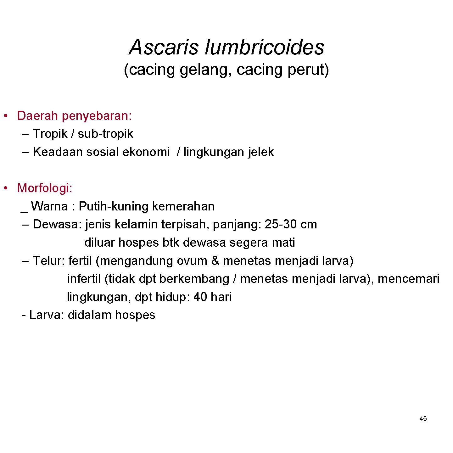 Ascaris lumbricoides (cacing gelang, cacing perut) • Daerah penyebaran: – Tropik / sub-tropik –