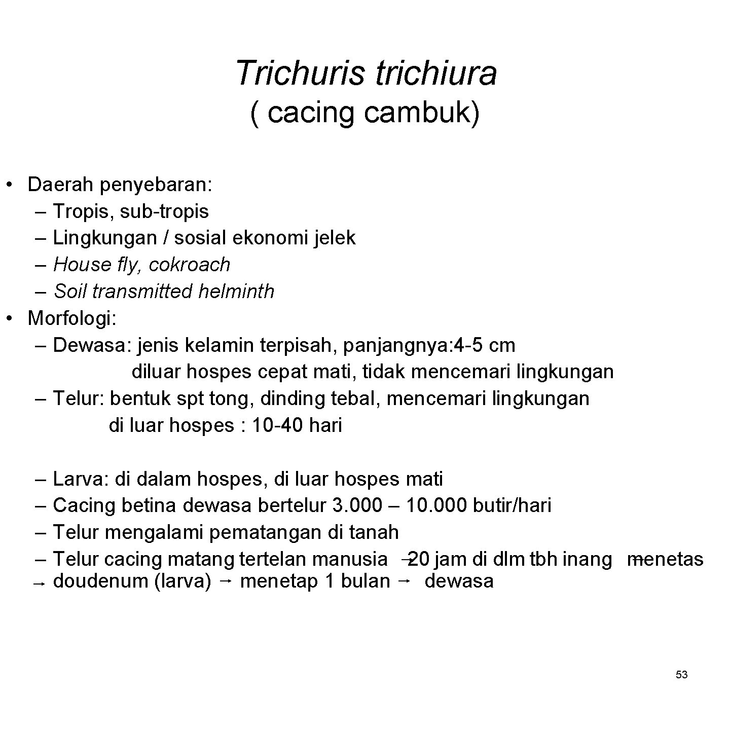 Trichuris trichiura ( cacing cambuk) • Daerah penyebaran: – Tropis, sub-tropis – Lingkungan /
