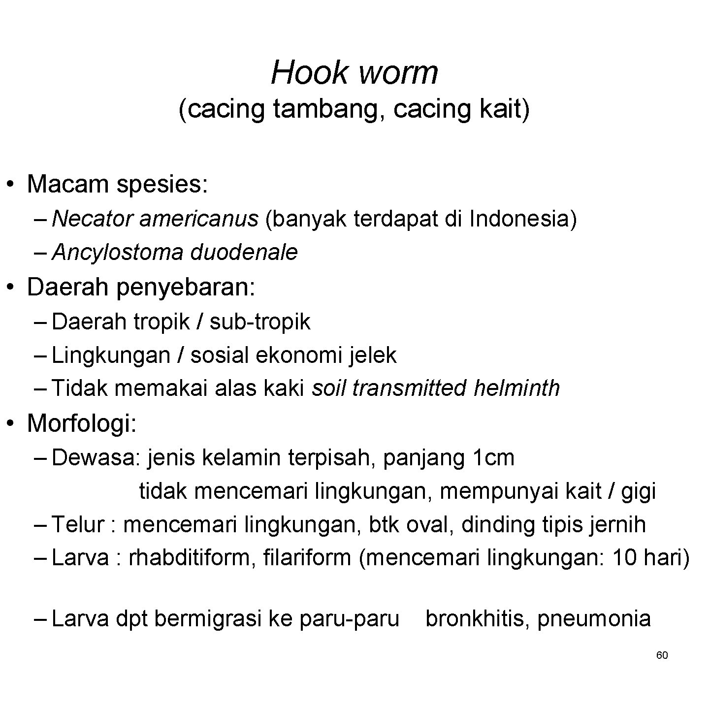 Hook worm (cacing tambang, cacing kait) • Macam spesies: – Necator americanus (banyak terdapat