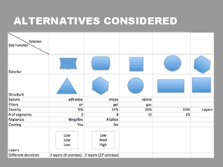 ALTERNATIVES CONSIDERED 