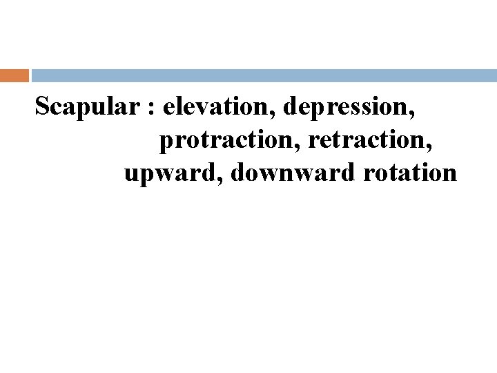 Scapular : elevation, depression, protraction, retraction, upward, downward rotation 