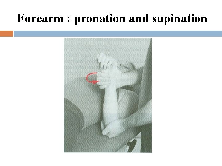 Forearm : pronation and supination 
