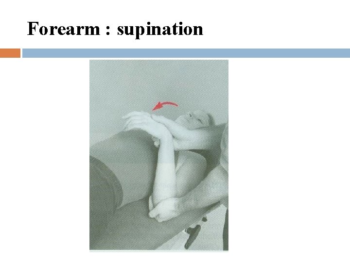 Forearm : supination 